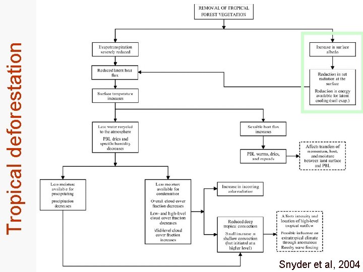 Snyder et al, 2004 Tropical deforestation 