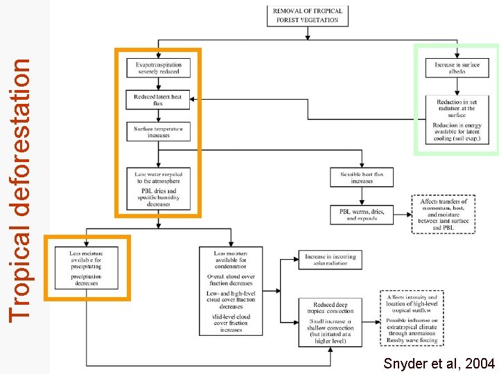 Snyder et al, 2004 Tropical deforestation 