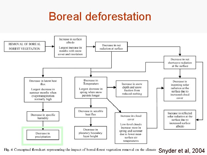 Boreal deforestation Snyder et al, 2004 