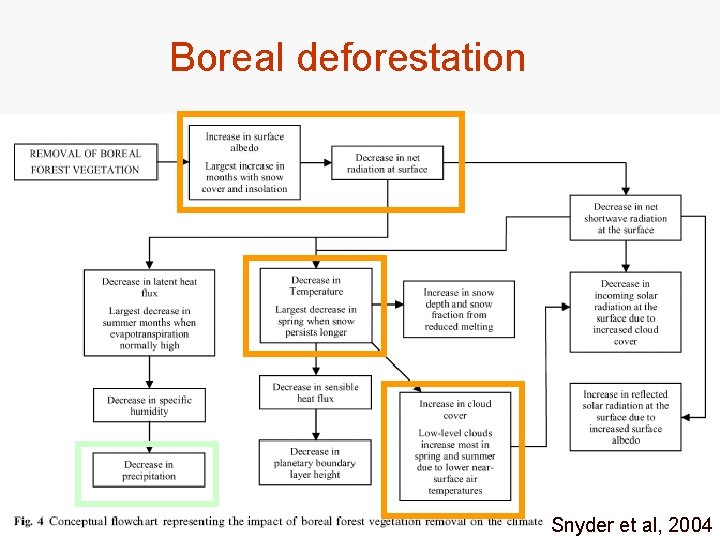 Boreal deforestation Snyder et al, 2004 