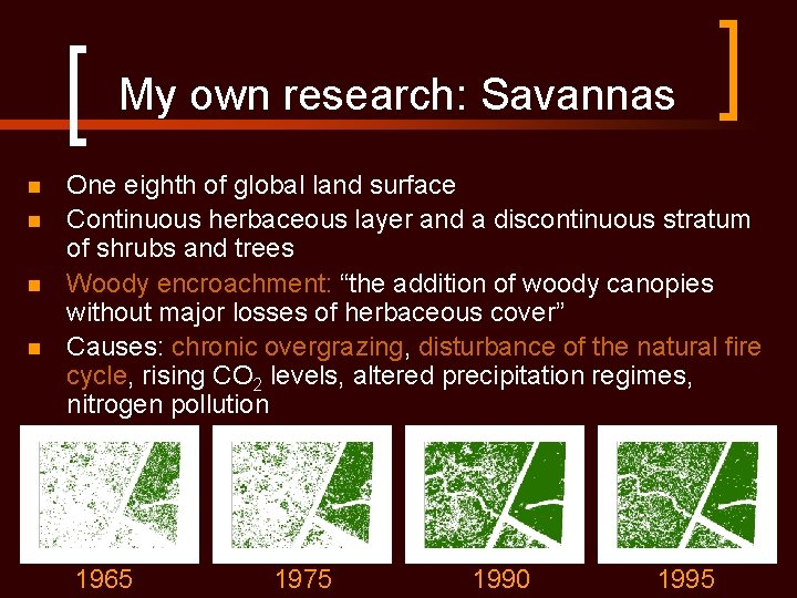My own research: Savannas n n One eighth of global land surface Continuous herbaceous