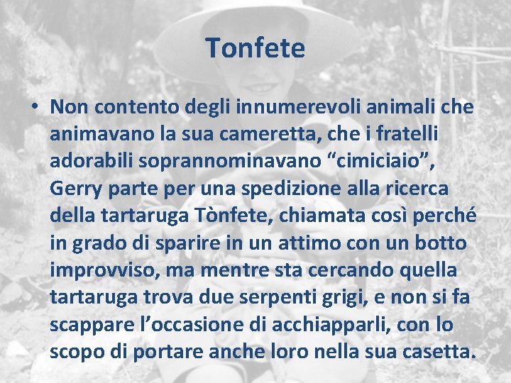 Tonfete • Non contento degli innumerevoli animali che animavano la sua cameretta, che i