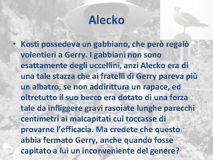 Alecko • Kosti possedeva un gabbiano, che però regalò volentieri a Gerry. I gabbiani