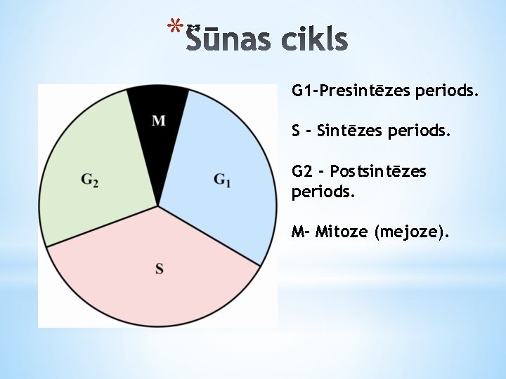 * G 1 -Presintēzes periods. S - Sintēzes periods. G 2 - Postsintēzes periods.