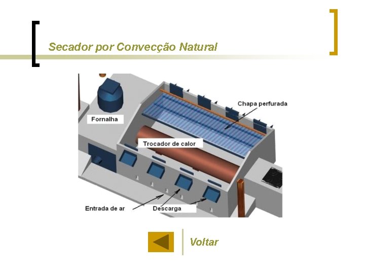 Secador por Convecção Natural Voltar 