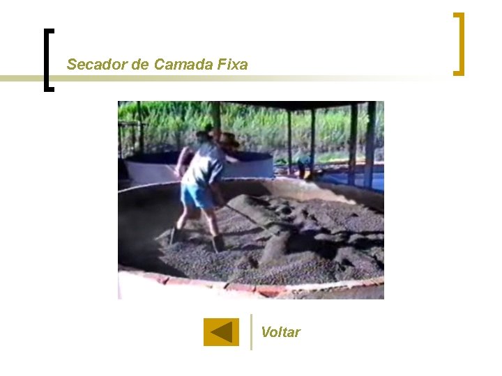 Secador de Camada Fixa Voltar 