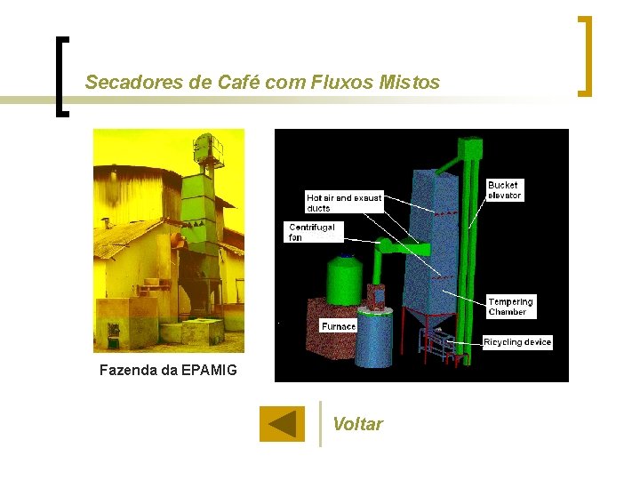 Secadores de Café com Fluxos Mistos Fazenda da EPAMIG Voltar 