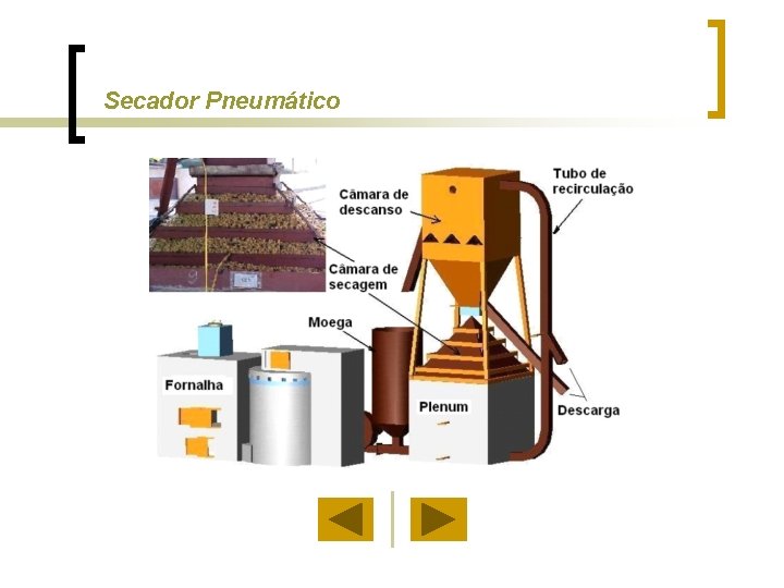 Secador Pneumático 