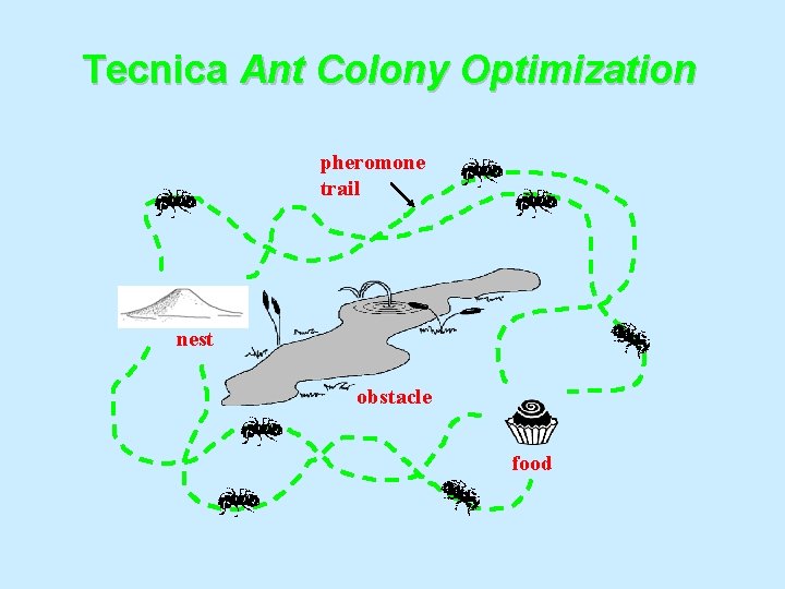 Tecnica Ant Colony Optimization pheromone trail nest obstacle food 