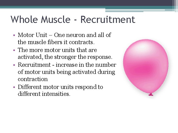 Whole Muscle - Recruitment • Motor Unit – One neuron and all of the