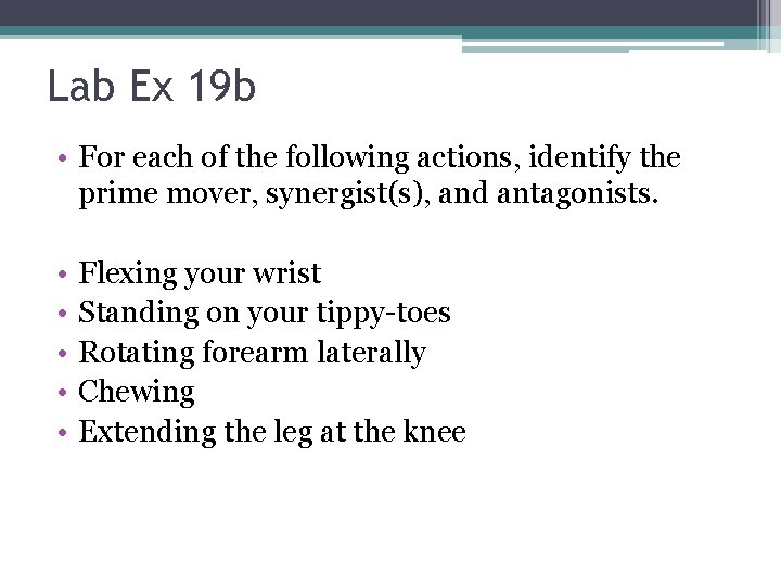 Lab Ex 19 b • For each of the following actions, identify the prime