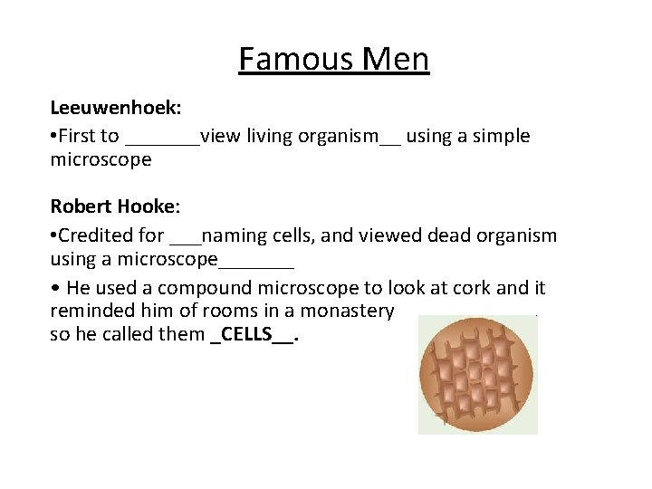 Famous Men Leeuwenhoek: • First to _______view living organism__ using a simple microscope Robert