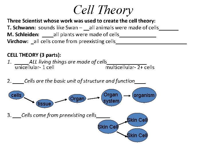 Cell Theory Three Scientist whose work was used to create the cell theory: T.