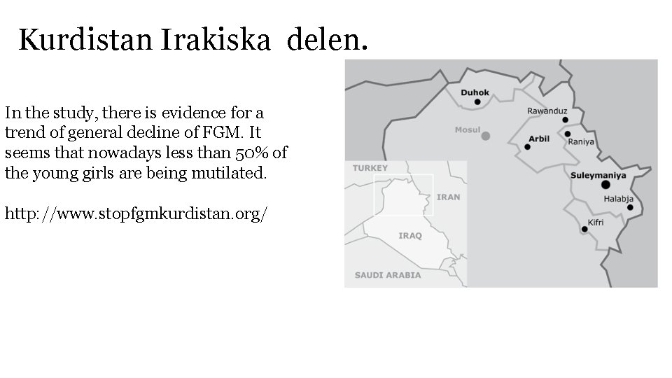 Kurdistan Irakiska delen. In the study, there is evidence for a trend of general