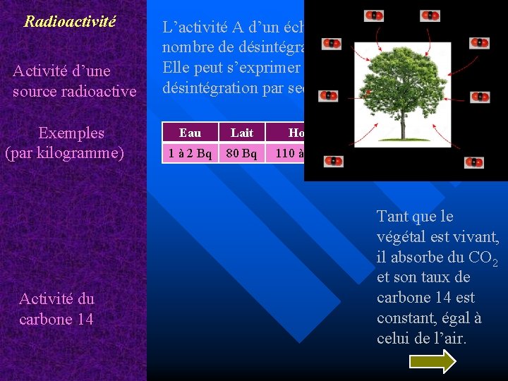 Radioactivité Activité d’une source radioactive Exemples (par kilogramme) Activité du carbone 14 L’activité A