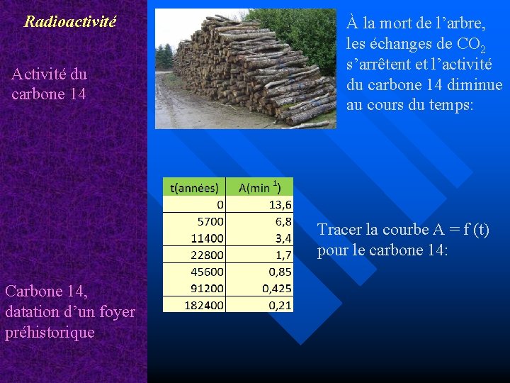 Radioactivité Activité du carbone 14 À la mort de l’arbre, les échanges de CO