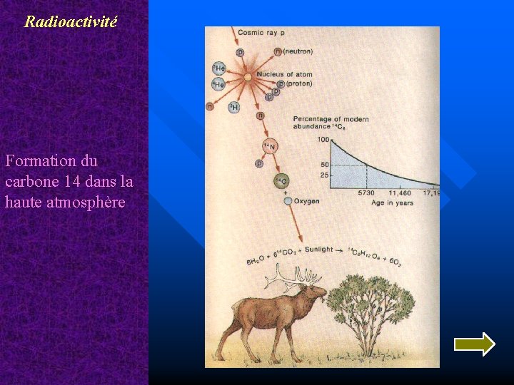 Radioactivité Formation du carbone 14 dans la haute atmosphère 