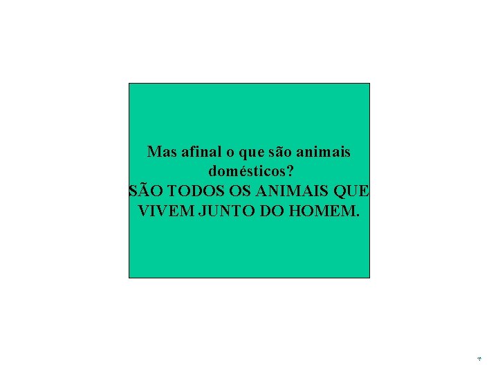 Mas afinal o que são animais domésticos? SÃO TODOS OS ANIMAIS QUE VIVEM JUNTO