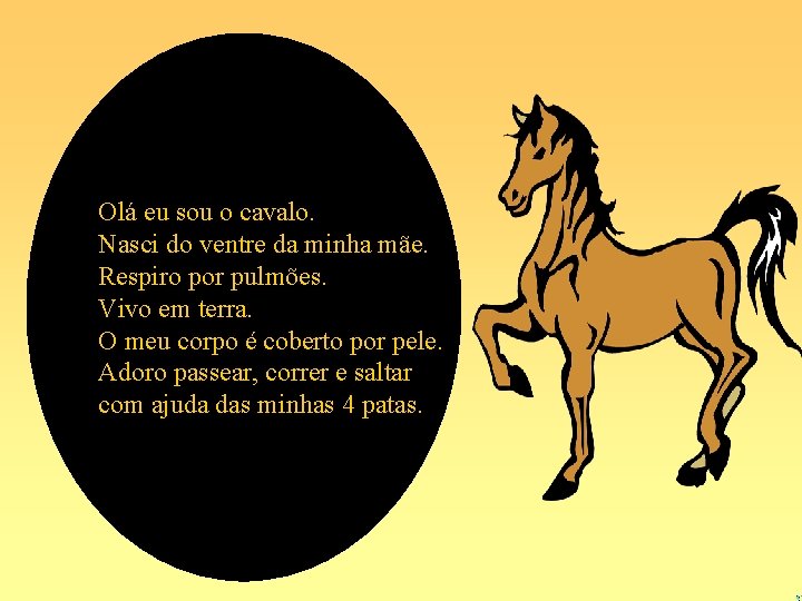 Olá eu sou o cavalo. Nasci do ventre da minha mãe. Respiro por pulmões.