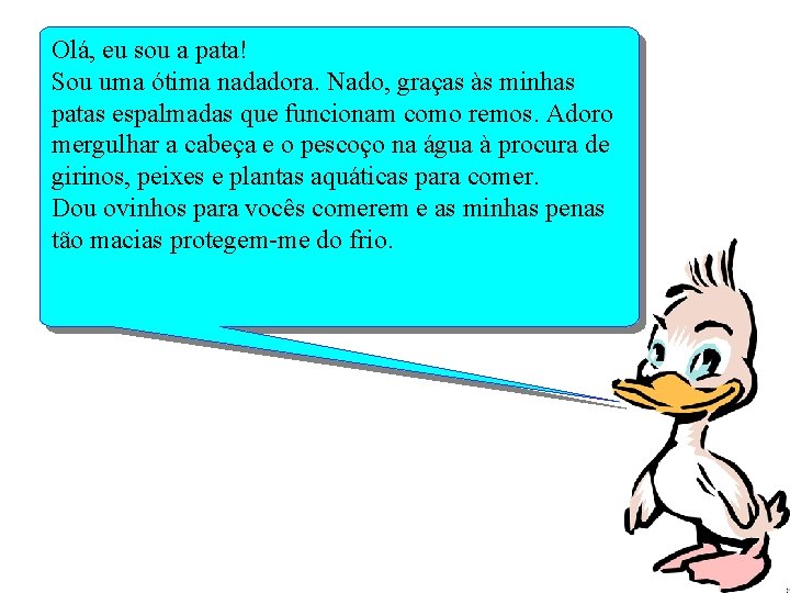 Olá, eu sou a pata! Sou uma ótima nadadora. Nado, graças às minhas patas