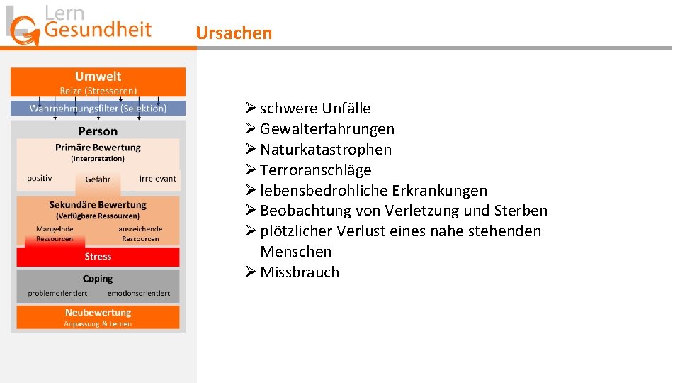 Ursachen Ø schwere Unfälle Ø Gewalterfahrungen Ø Naturkatastrophen Ø Terroranschläge Ø lebensbedrohliche Erkrankungen Ø