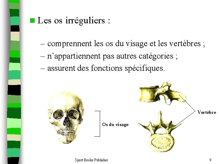 1 2 Les os du corps humain Chapitre