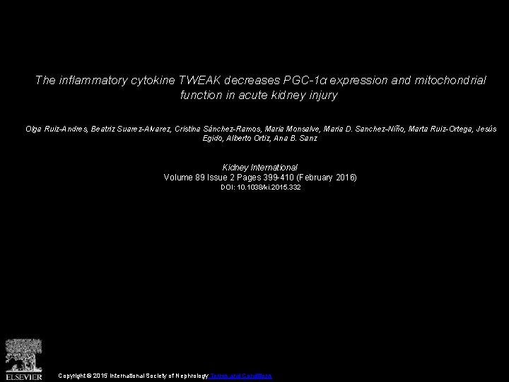 The inflammatory cytokine TWEAK decreases PGC-1α expression and mitochondrial function in acute kidney injury