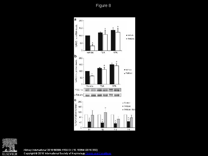 Figure 8 Kidney International 2016 89399 -410 DOI: (10. 1038/ki. 2015. 332) Copyright ©