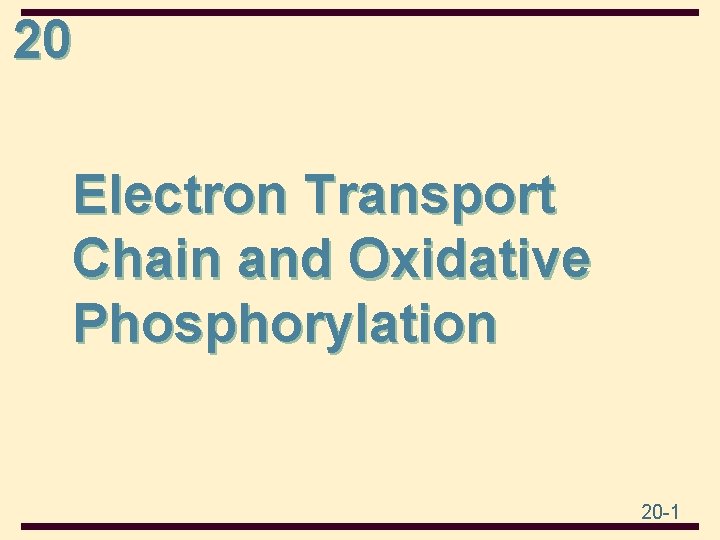 20 Electron Transport Chain and Oxidative Phosphorylation 20 -1 