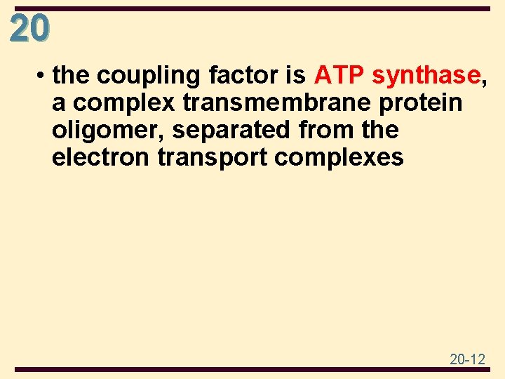 20 • the coupling factor is ATP synthase, a complex transmembrane protein oligomer, separated