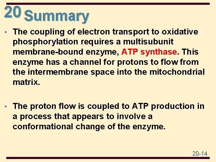 20 Summary • The coupling of electron transport to oxidative phosphorylation requires a multisubunit
