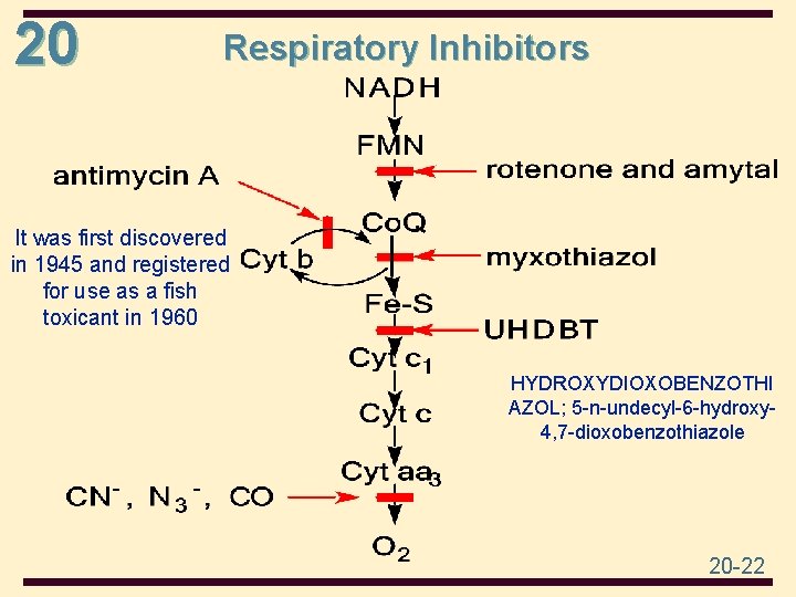 20 Respiratory Inhibitors It was first discovered in 1945 and registered for use as