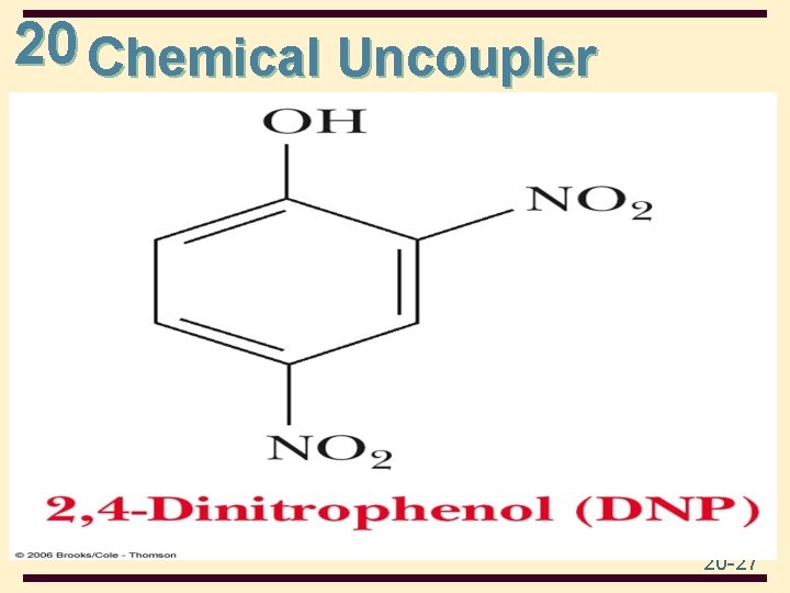 20 Chemical Uncoupler 20 -27 