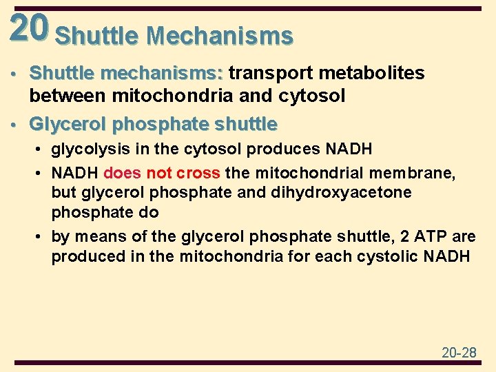 20 Shuttle Mechanisms • Shuttle mechanisms: transport metabolites between mitochondria and cytosol • Glycerol