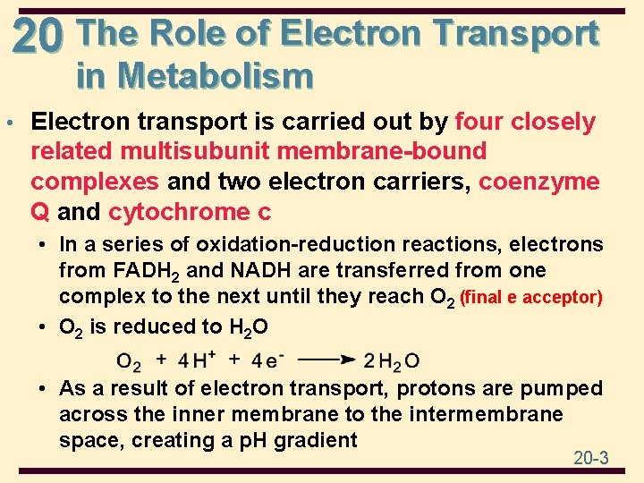20 The Role of Electron Transport in Metabolism • Electron transport is carried out