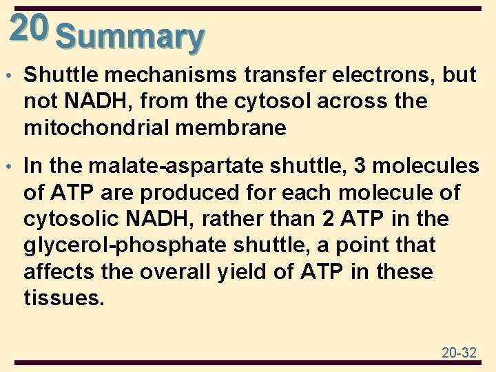 20 Summary • Shuttle mechanisms transfer electrons, but not NADH, from the cytosol across