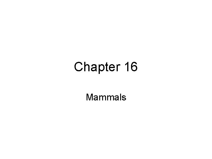 Chapter 16 Mammals 