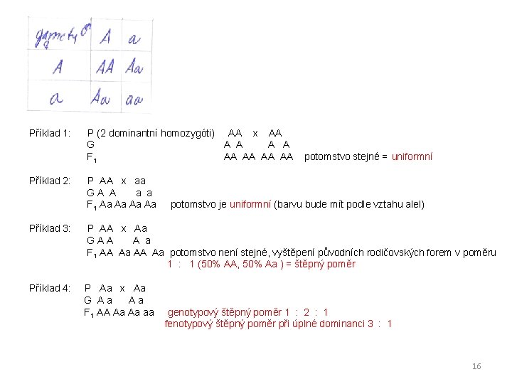 Příklad 1: Příklad 2: P (2 dominantní homozygóti) AA x AA G A A