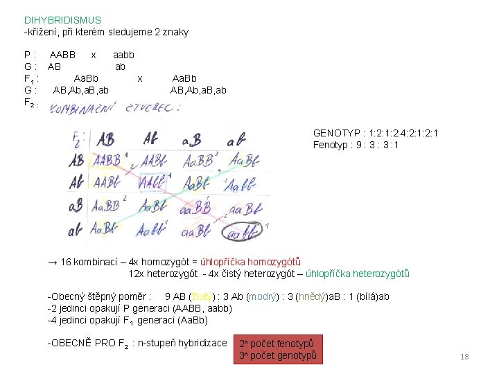 DIHYBRIDISMUS -křížení, při kterém sledujeme 2 znaky P : AABB x aabb G :