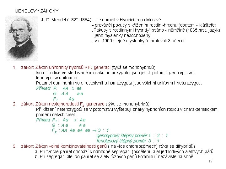 MENDLOVY ZÁKONY J. G. Mendel (1822 -1884) : - se narodil v Hynčicích na
