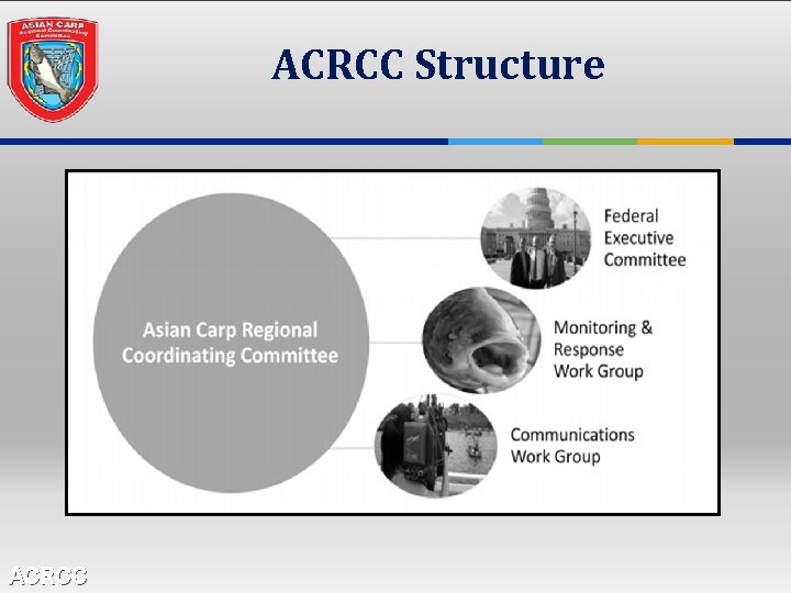 ACRCC Structure ACRCC 