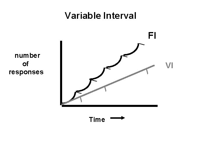 Variable Interval FI number of responses VI Time 