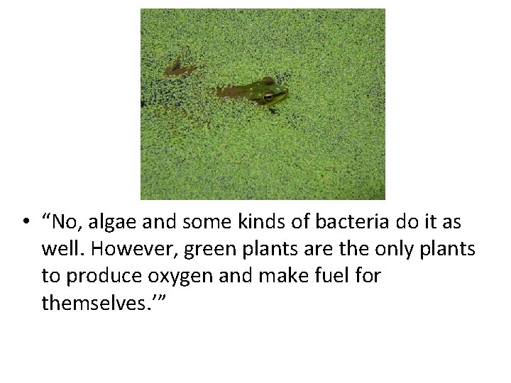 • “No, algae and some kinds of bacteria do it as well. However,