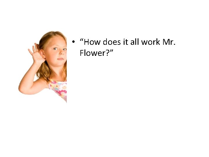  • “How does it all work Mr. Flower? ” 