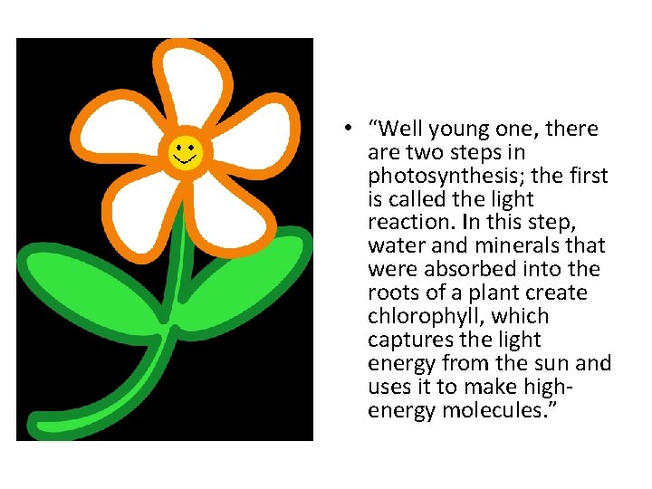  • “Well young one, there are two steps in photosynthesis; the first is