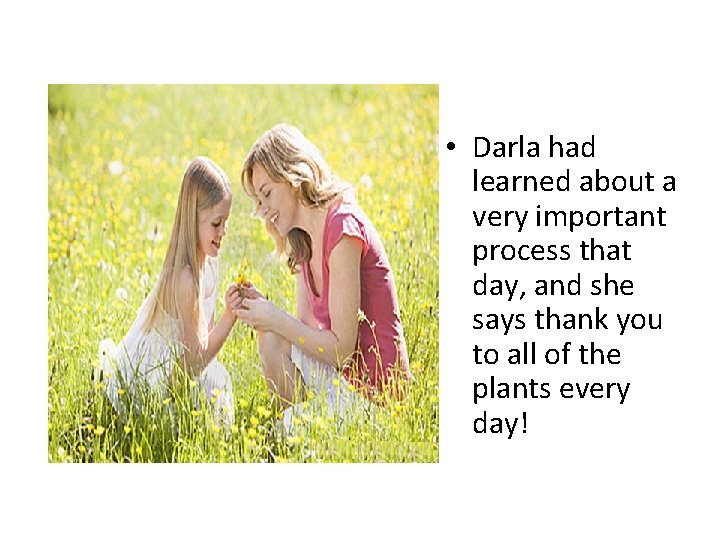  • Darla had learned about a very important process that day, and she