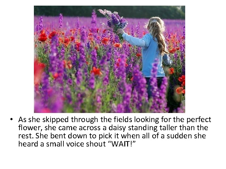  • As she skipped through the fields looking for the perfect flower, she