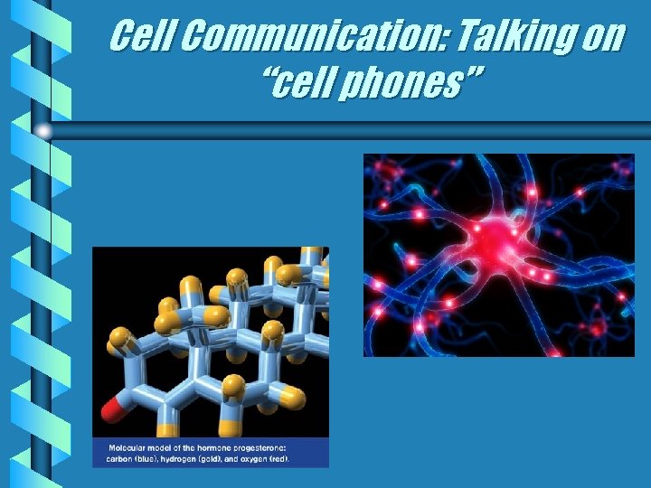 Cell Communication: Talking on “cell phones” 