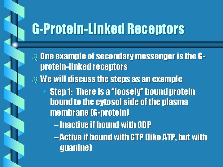 G-Protein-Linked Receptors b One example of secondary messenger is the G- protein-linked receptors b