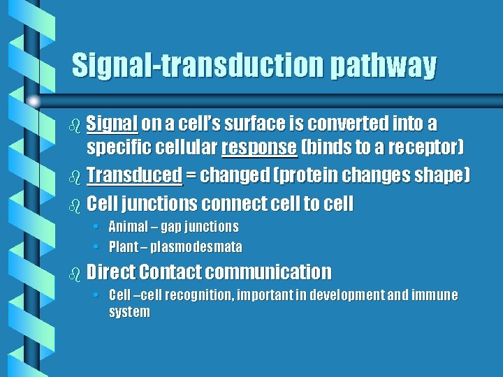 Signal-transduction pathway b Signal on a cell’s surface is converted into a specific cellular